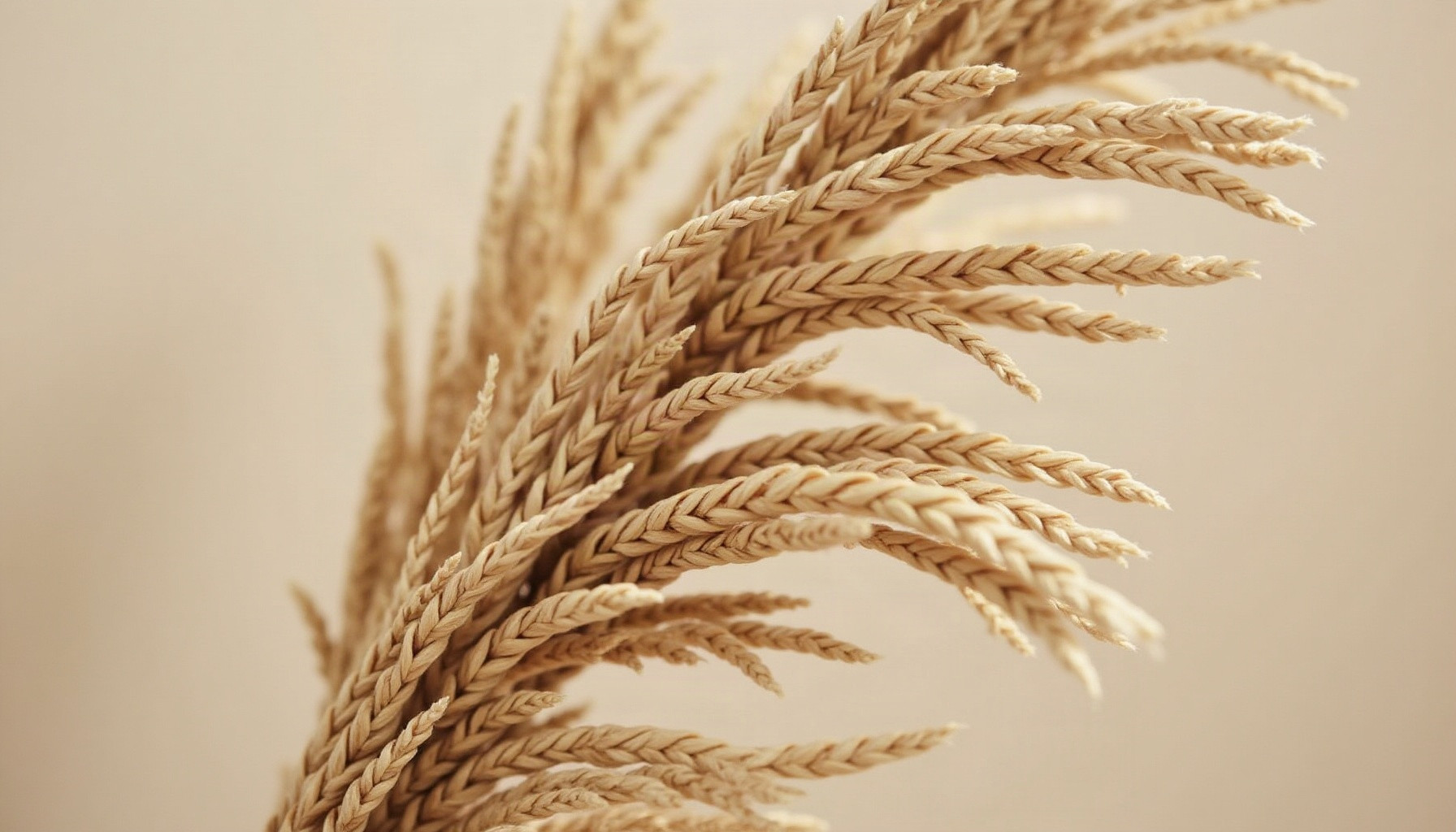 seagrass vs sisal, warm minimal detail